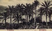 Pierre Renoir View of Bordighera:the Palms Postcard oil on canvas